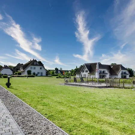 Rotkehlchen 40 Im Wreecher Idyll Rügen By Ruyastay